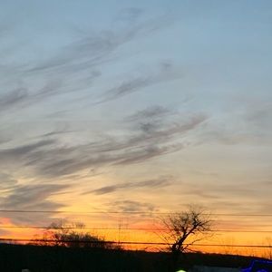 Meet your Posher, Ava